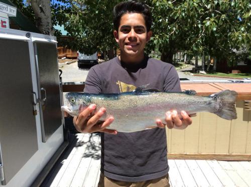 2018-06-11 Steven Gomez caught a 3.75 Lb rainbow on the rocks by the marina on Powerbait. He is from San Gabriel - Copy (2)