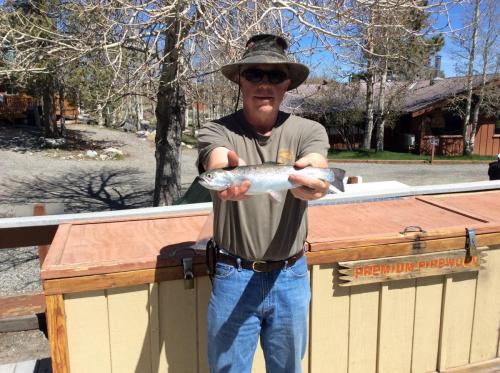 2018-05-03 10.59.45Gary Taylor  rainbow on Powerbait end of lake Wrightwood