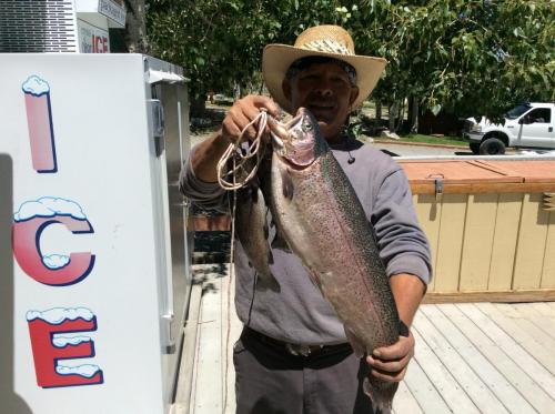 2018-Manny Murillo from Moor Park, CA caught 6.75 Lb rainbow with Power at back of lake